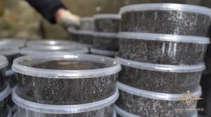 МВД России, реализация нелегально добытой черной икры