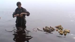 Чаваньга. Поморы