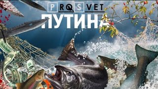 БРАКОНЬЕРЫ САХАЛИНА