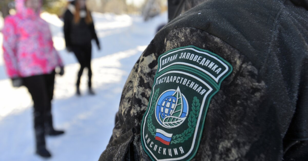 Браконьера из Подмосковья приговорили к 180 часам обязательных работ Браконьера из Подмосковья приговорили к 180 часам обязательных работ