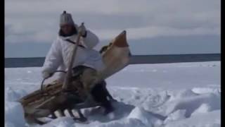 &quot;Охотники студеных берегов&quot;