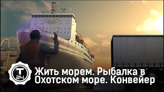 Жить морем док. фильм