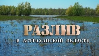 &quot;Разлив&quot; в Астраханской области 2012-13 год