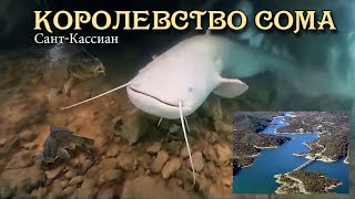 Королевство сома - Сомы Европы