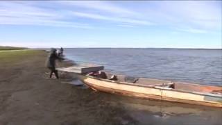 Промысловая рыбалка в Аллаиховском улусе