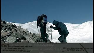 Дикий карп и домашний сазан. Фильм Сергея Герасимова.