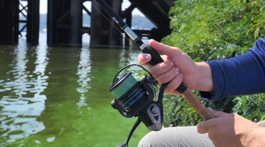 Три ошибки начинающего фидериста